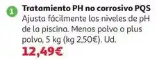 Alcampo Ph menos polvo no corrosivo 5kg pqs oferta
