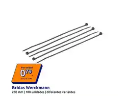 Action WERCKMANN Bridas oferta