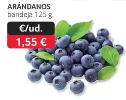 GM Cash & Carry Arándanos oferta