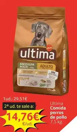 GM Cash & Carry Última - comida perros de pollo oferta