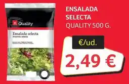GM Cash & Carry Quality - ensalada selecta oferta
