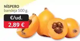 GM Cash & Carry Níspero oferta