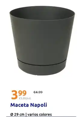Action Maceta Napoli oferta