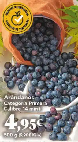 Gadis Arándanos oferta