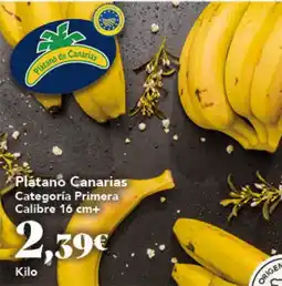 Gadis Plátano de Canarias oferta