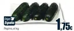 Unide Market Pepino oferta