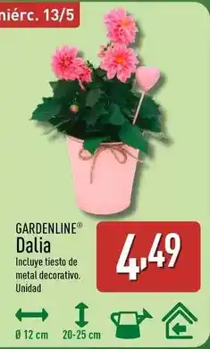 ALDI Gardenline - dalia oferta
