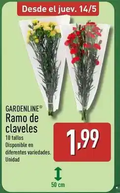 ALDI Gardenline - ramo de claveles oferta