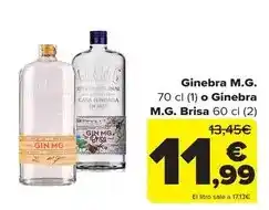 Carrefour Brisa - ginebra m.g oferta