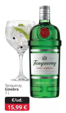 GM Cash & Carry Tanqueray - ginebra oferta