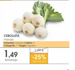Supermercados Plaza Cebolleta manojo oferta