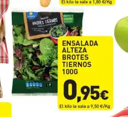 Hiperber Ensalada alteza brotes tiernos oferta
