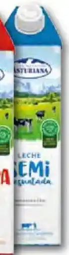 Unide Market ASTURIANA C.L. Leche semidesnatada oferta