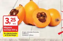 Suma Supermercados Níspero bandeja oferta