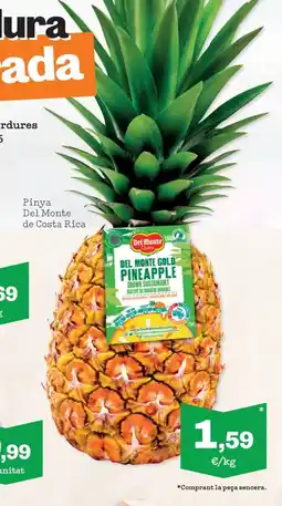 Sorli Pinya Del Monte de Costa Rica oferta