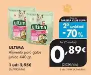 Supermercados Lupa Ultima - alimento para gatos junior oferta