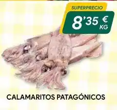 Masymas Calamaritos patagónicos oferta