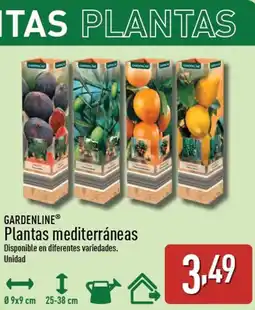 ALDI GARDENLINE Plantas mediterráneas oferta