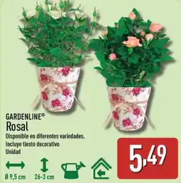 ALDI GARDENLINE Rosal oferta