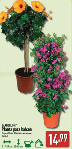 ALDI GARDENLINE Planta para balcón oferta