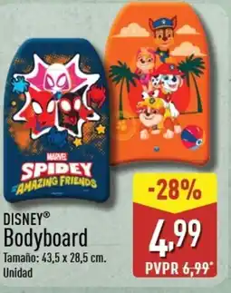 ALDI DISNEY Bodyboard oferta