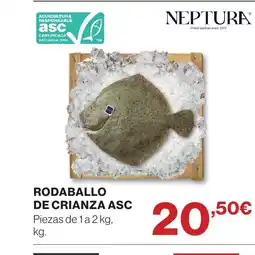 Hipercor Rodaballo de crianza asc] oferta