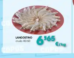 Congelados Copos Langostino crudo 40/60 oferta