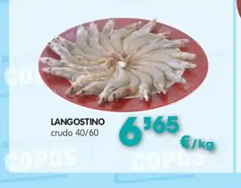 Congelados Copos Langostino crudo 40/60 oferta