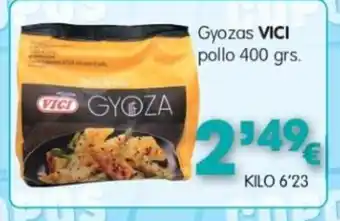 VICI Gyozas pollo