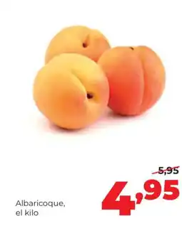 Alimerka Albaricoque oferta