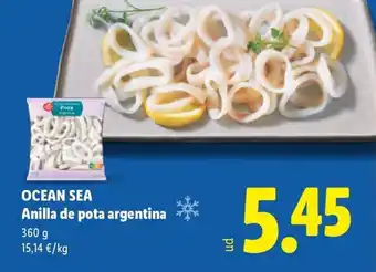 OCEAN SEA Anilla de pota argentina