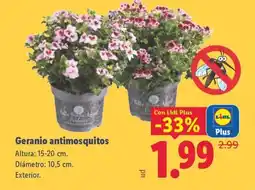 Lidl Geranio antimosquitos oferta