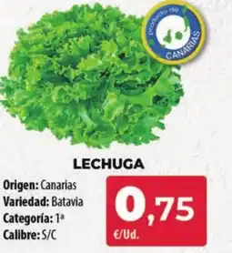 Spar Tenerife Lechuga oferta