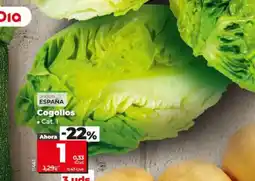 Dia Cogollos oferta
