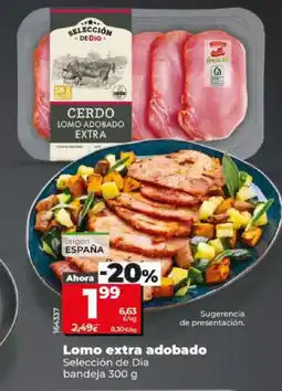 Dia SELECCIÓN DE DIA Lomo extra adobado oferta