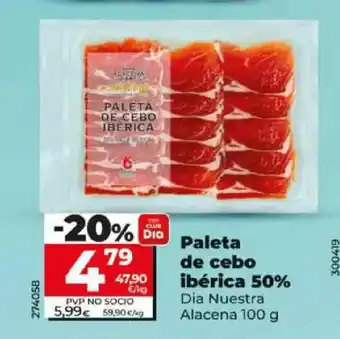 Dia DIA NUESTRA ALACENA Paleta de cebo ibérica 50% oferta