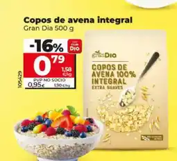 Dia GRAND DIA Copos de avena integral oferta