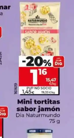 Dia DIA NATURMUNDO Mini tortitas sabor jamón oferta