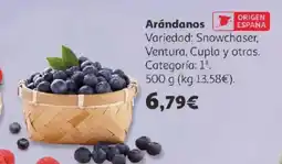 Alcampo Arándanos oferta