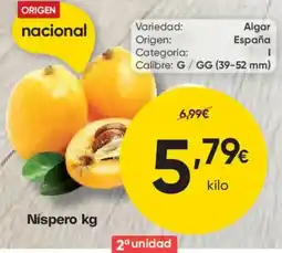 FROIZ Níspero oferta