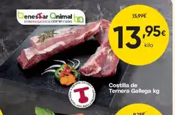 FROIZ Costilla de Ternera Gallega oferta