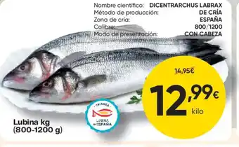 FROIZ Lubina oferta
