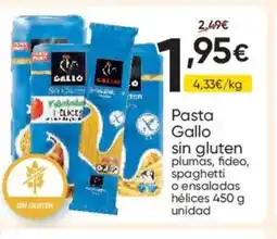 FROIZ GALLO Pasta sin gluten oferta
