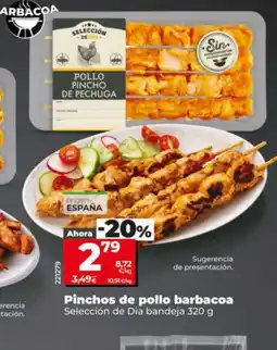 Maxi Dia SELECCIÓN DE DIA Pinchos de pollo barbacoa oferta