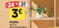 Centrakor Planta oferta