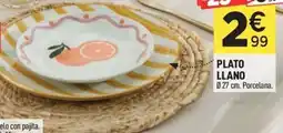 Centrakor Plato llano oferta