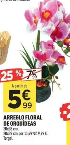 Centrakor Arreglo floral de orquídeas oferta