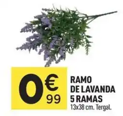 Centrakor Ramo de lavanda ramas oferta