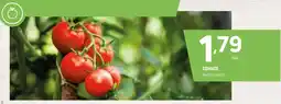Coviran Tomate oferta