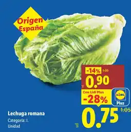 Lidl Lechuga romana oferta